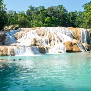 Turquoise waterfalls cascading into a natural pool surrounded by lush green jungle in Chiapas.