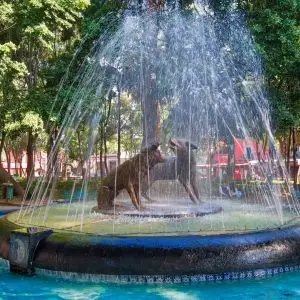 Coyoacan´s Emblematic Coyote Fountain in Dowtown Alcaldia Coyoacan
