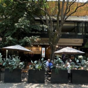 View of the many cafes and restaurants in Lincoln Park Mexico City.