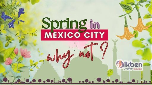 Picture of flowers and green grass with a skyline of mexico city